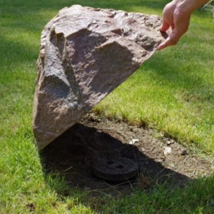 68113748.jpg